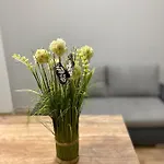 Apartment Nalyvaika Comfort Lviv