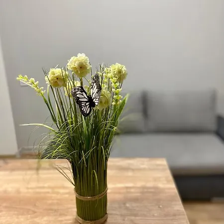 Apartment Nalyvaika Lviv