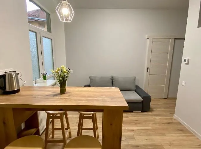 Nalyvaika Comfort 利沃夫