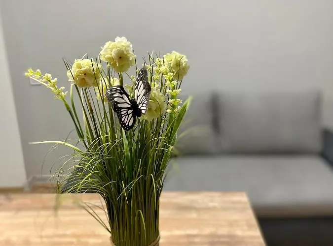 Apartmán Nalyvaika Lvov